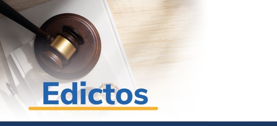 Notificación por aviso auto 164 del 11 de diciembre del 2024