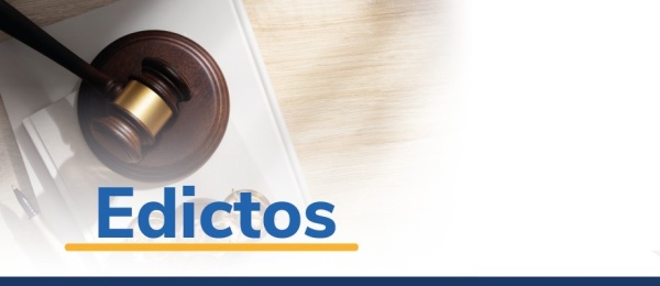 Notificación por aviso auto 164 del 11 de diciembre del 2024